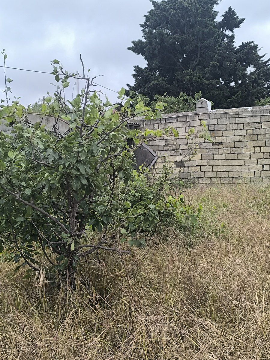 Satılır torpaq 12 sot — Torpaq, Bakı (5)