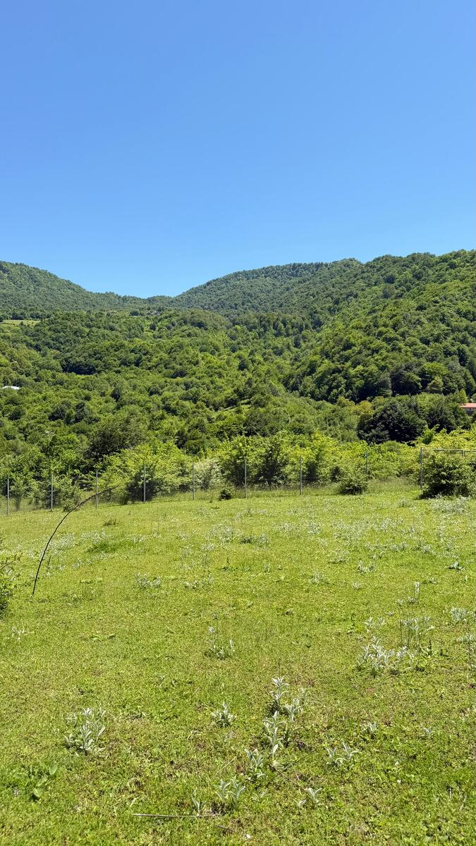 Satılır torpaq 6 sot — Torpaq, Quba (3)