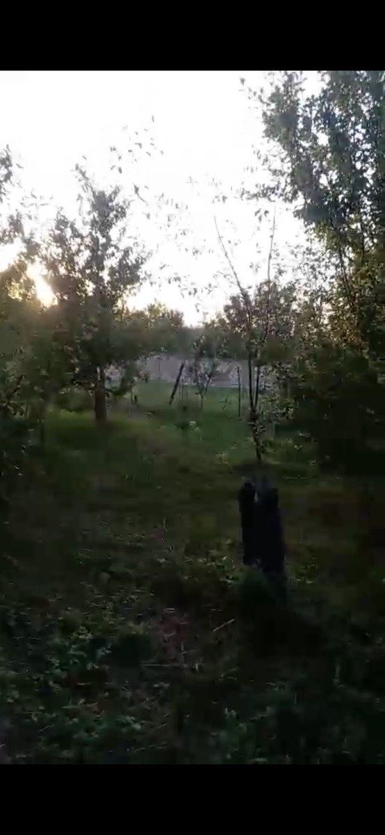 26 sot torpaq sahəsi, Quba r — Torpaq, Quba (2)