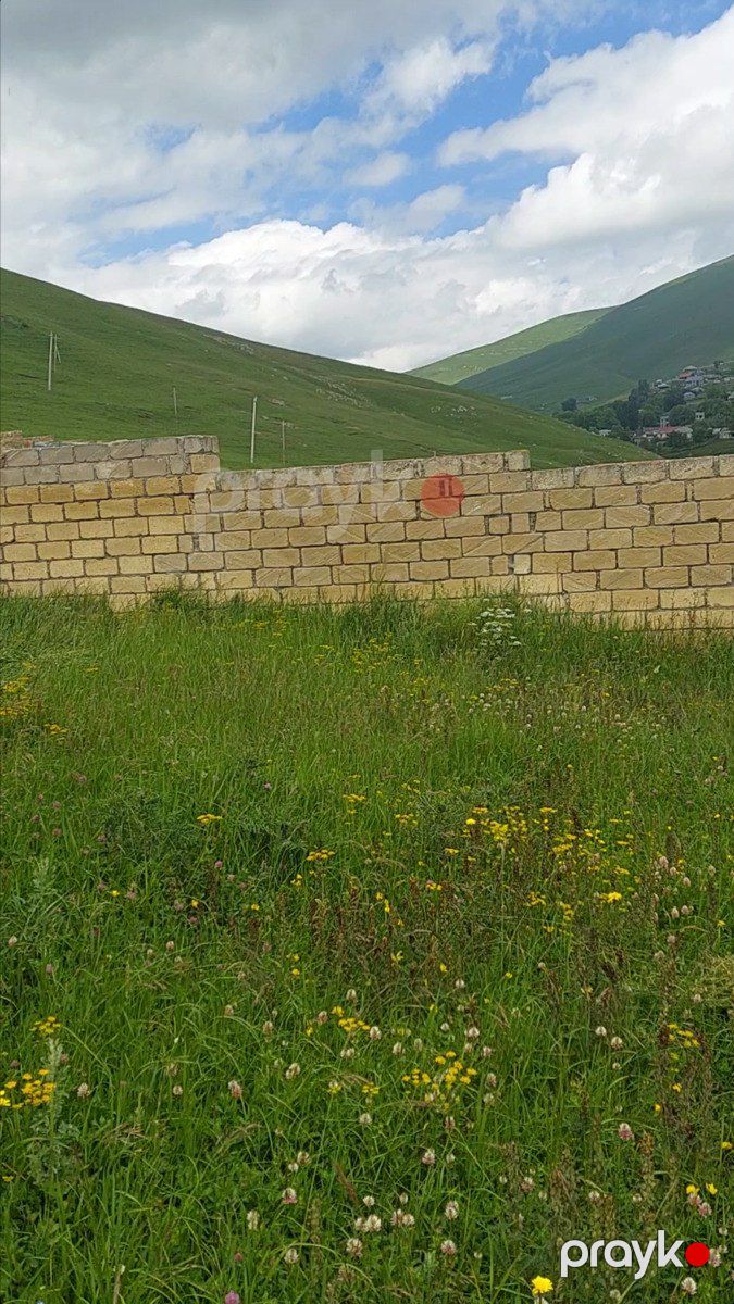 Həyət evi, Daşkəsən r — Ev, villa, Daşkəsən (12)