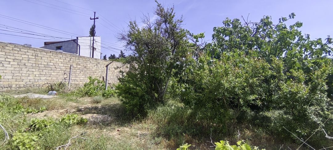 Satılır torpaq 24 sot — Torpaq, Bakı (5)