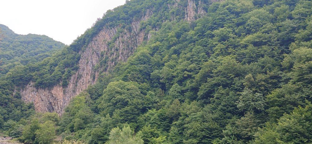 İcarəyə verilir 4 otaqlı həyət evi/bağ evi 150 m² — Ev, villa, Qax (11)