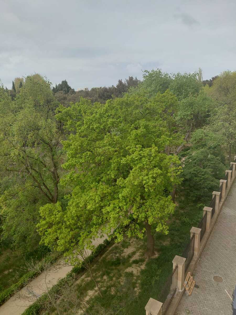 Satılır 3 otaqlı yeni tikili 137 m² — Mənzil, Bakı (4)