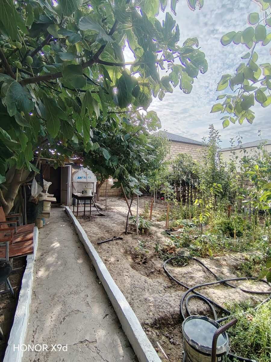 Satılır 3 otaqlı həyət evi/bağ evi 80 m² — Ev, villa, Bakı (5)