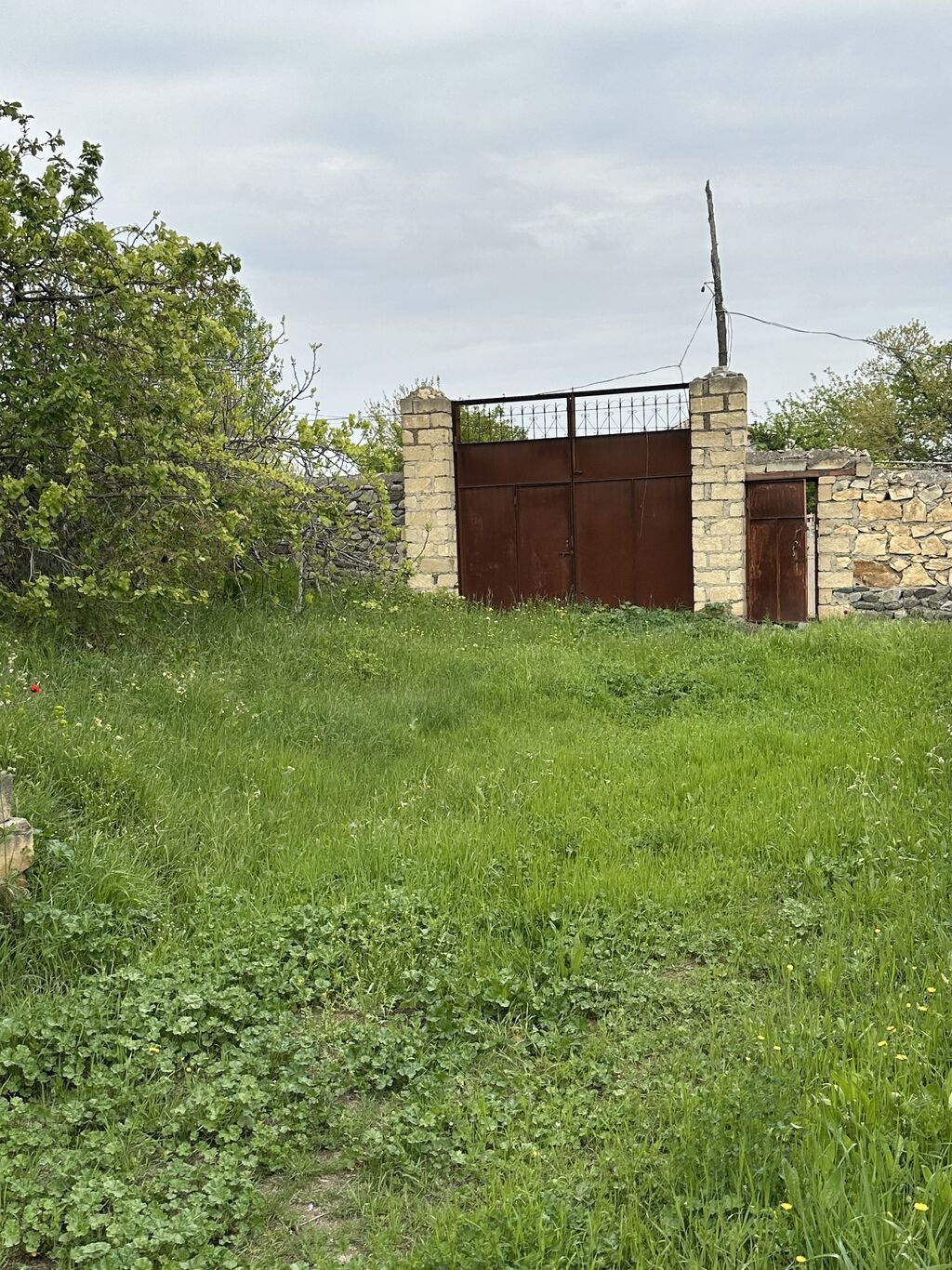 31 sot, Tikinti, Mülkiyyətçi, Kupça (Çıxarış) — Torpaq, Gəncə