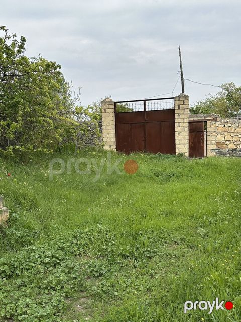 31 sot, Tikinti, Mülkiyyətçi, Kupça (Çıxarış)