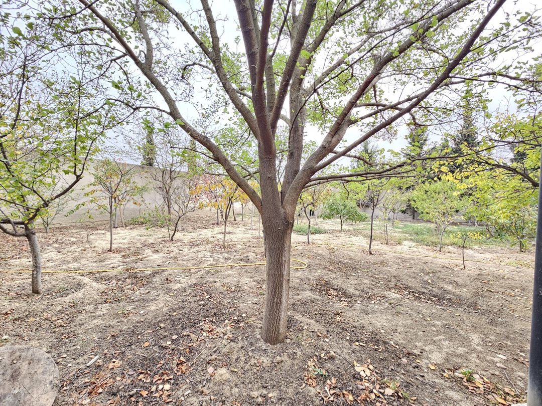Satılır 5 otaqlı həyət evi/bağ evi 190 m² — Ev, villa, Bakı (10)