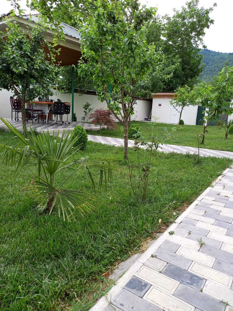 İcarəyə verilir 4 otaqlı həyət evi/bağ evi 230 m² — Ev, villa, Qəbələ (4)