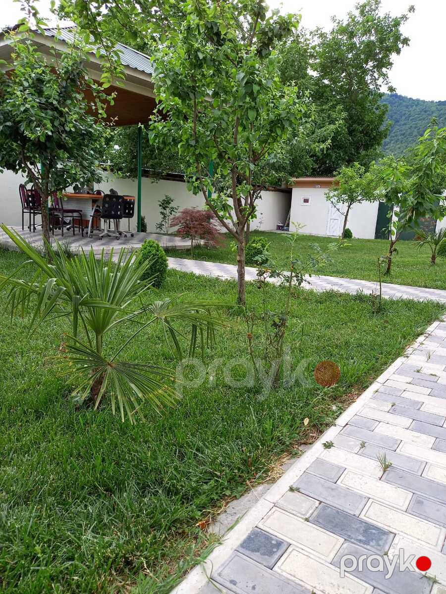 İcarəyə verilir 4 otaqlı həyət evi/bağ evi 230 m² — Ev, villa, Qəbələ (4)