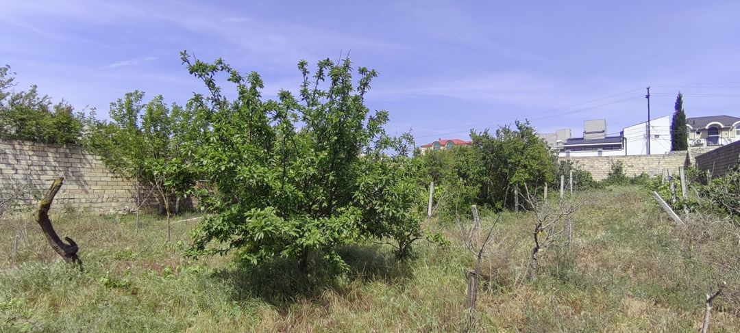 Satılır torpaq 24 sot — Torpaq, Bakı (11)