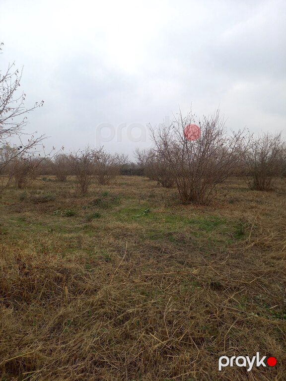84 sot torpaq sahəsi, Şəki r — Torpaq, Şəki (9)