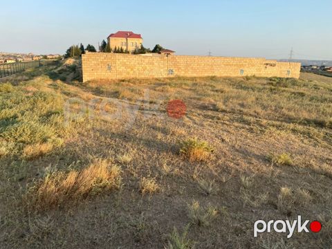 10 sot torpaq sahəsi, Saray qəs