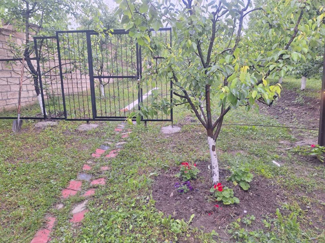 İcarəyə verilir 5 otaqlı həyət evi/bağ evi 180 m² — Ev, villa, Quba (7)