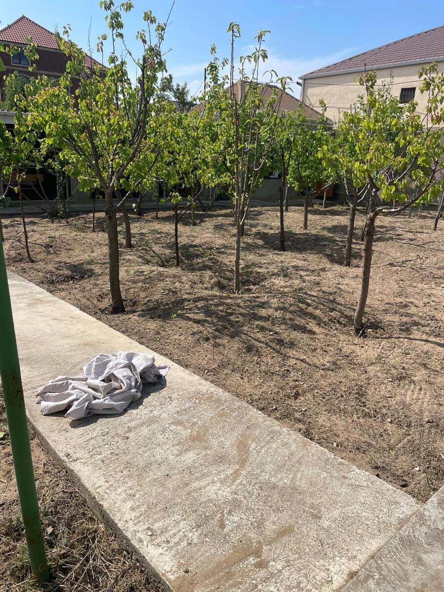 Satılır 3 otaqlı həyət evi/bağ evi 100 m² — Ev, villa, Bakı (3)