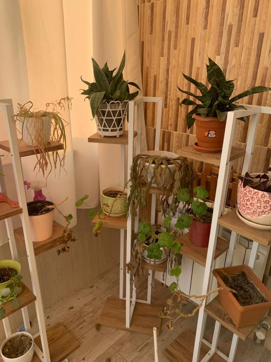 İcarəyə verilir 3 otaqlı yeni tikili 113 m² — Mənzil, Bakı (8)