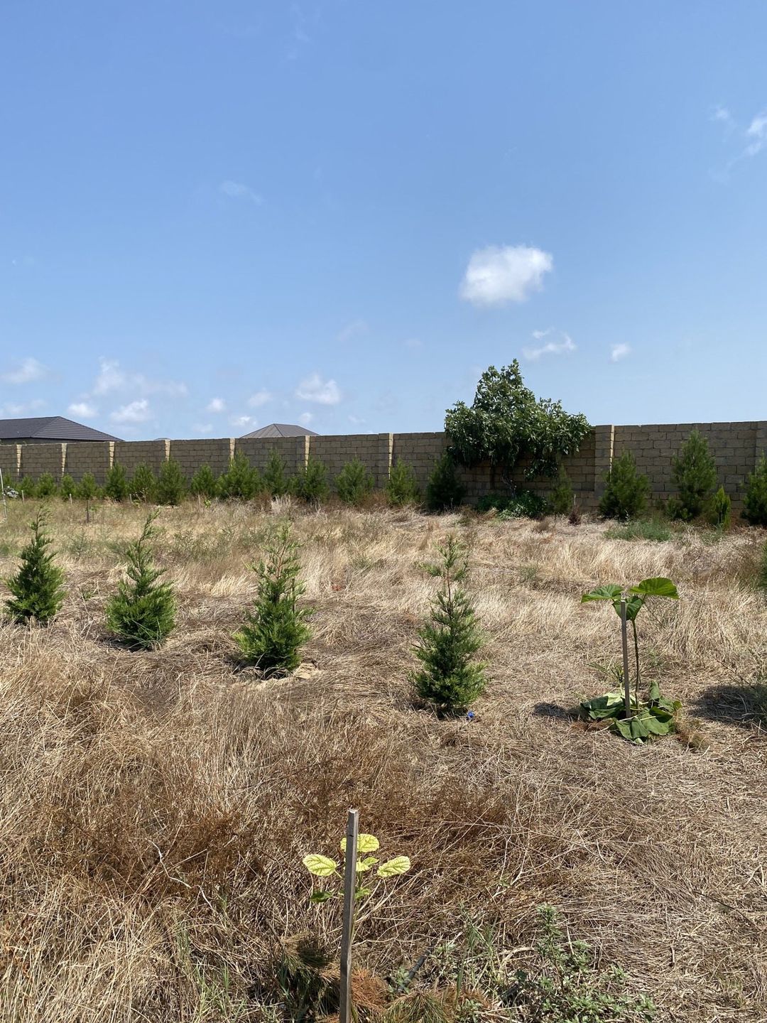 Satılır torpaq 12 sot — Torpaq, Bakı (6)