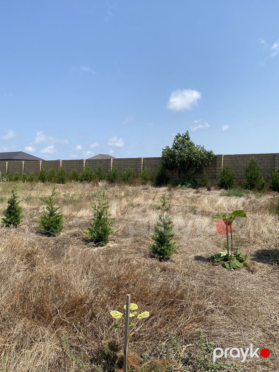 Satılır torpaq 12 sot — Torpaq, Bakı (8)