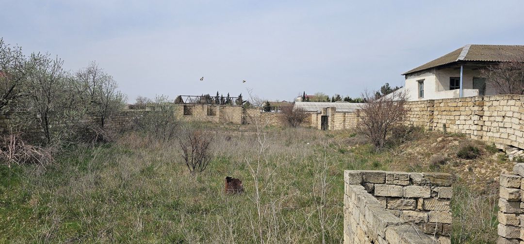 Satılır torpaq 10 sot — Torpaq, Bakı (9)