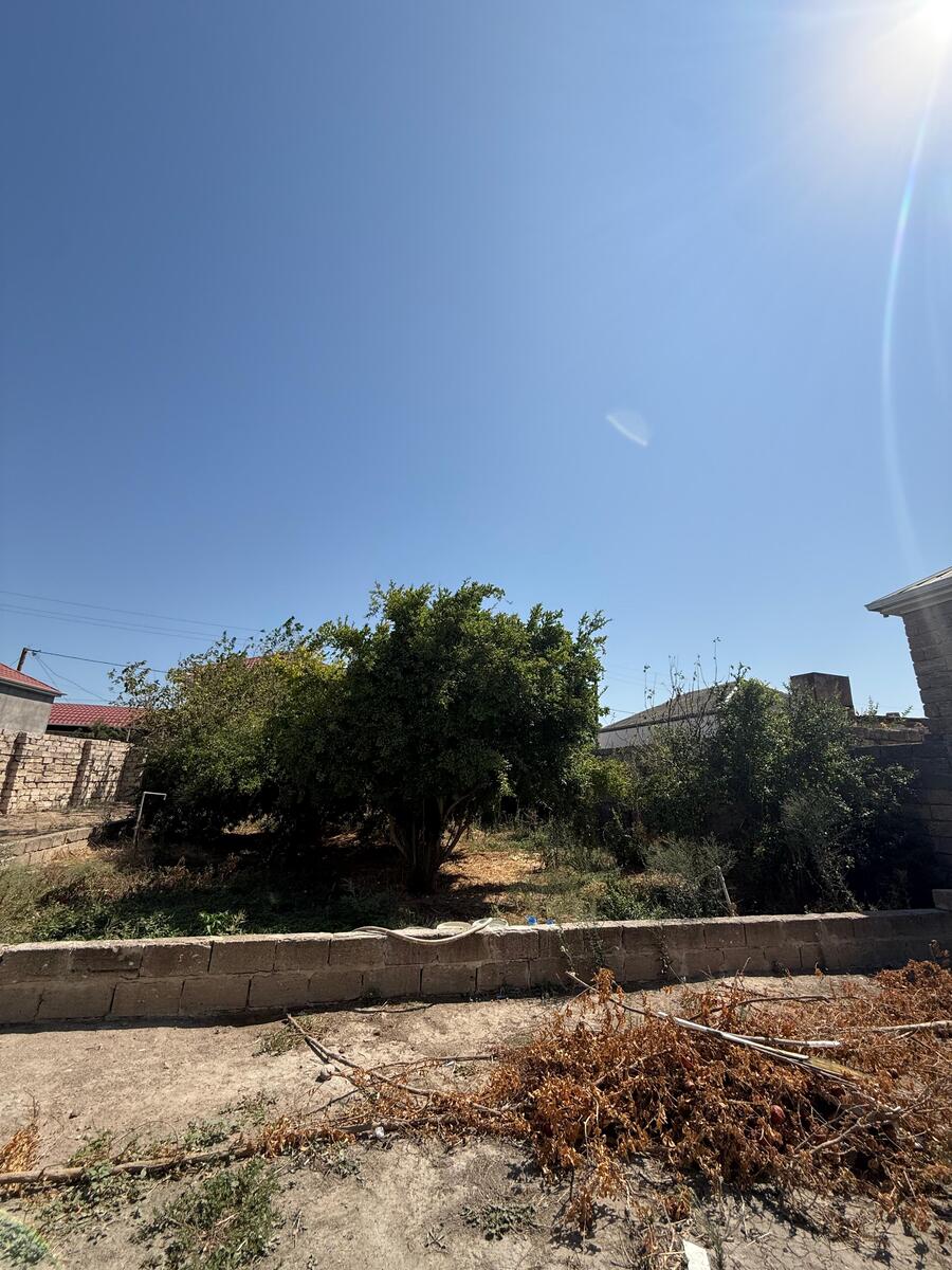 Satılır torpaq 265 sot — Torpaq, Bakı (2)