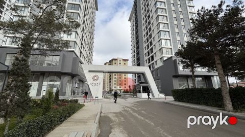 Satılır obyekt 146.2 m²
