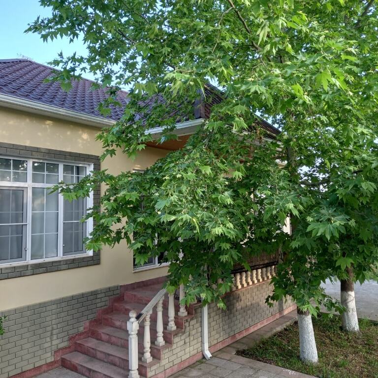 İcarəyə verilir 4 otaqlı həyət evi/bağ evi 90 m² — Ev, villa, Quba (5)