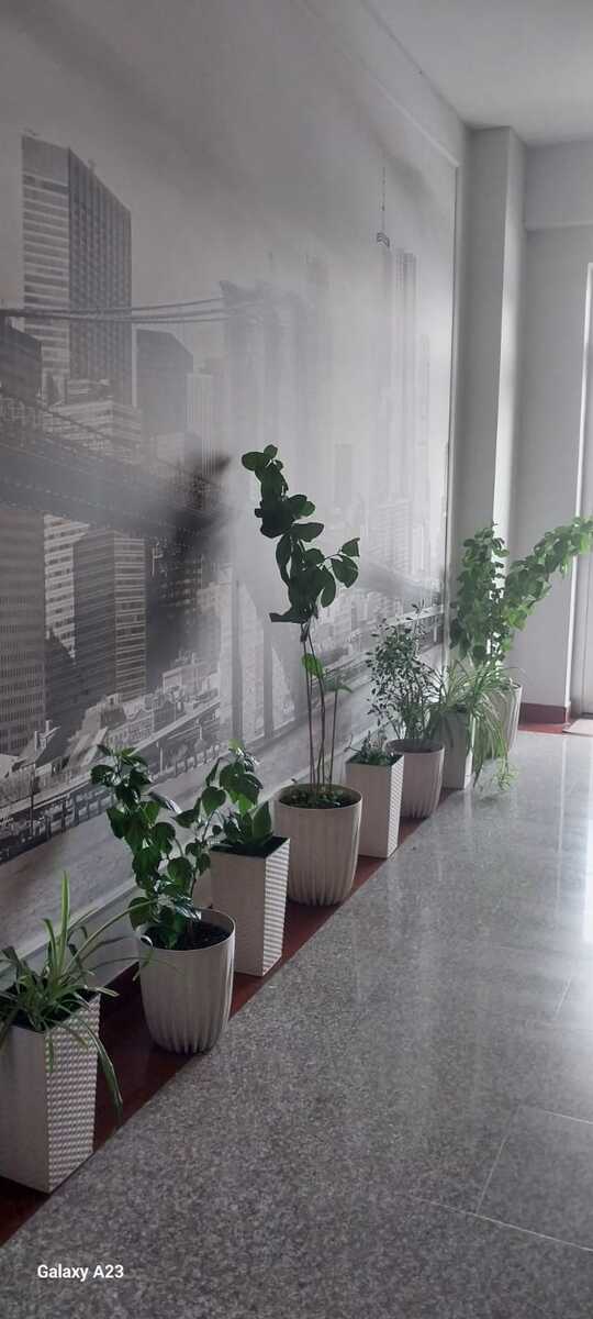 İcarəyə verilir 3 otaqlı yeni tikili 170 m² — Mənzil, Bakı (6)