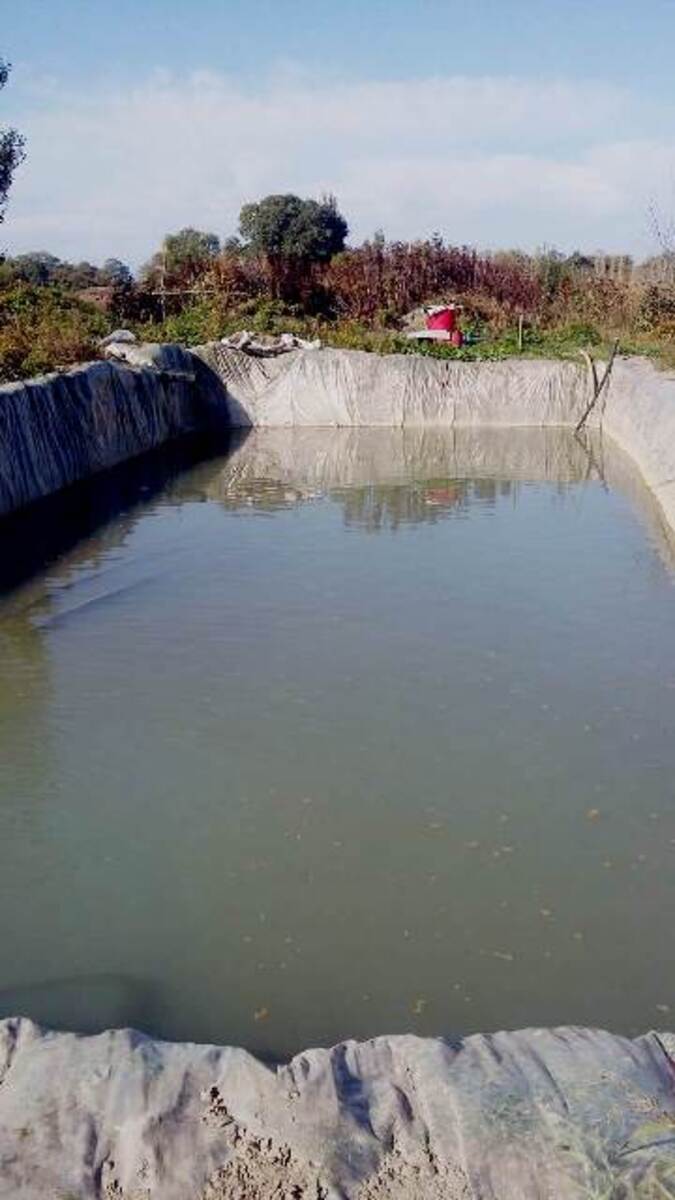 Satılır torpaq 180 sot — Torpaq, Xaçmaz (7)