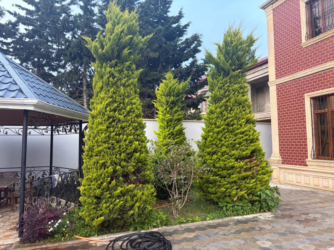 İcarəyə verilir 5 otaqlı həyət evi/bağ evi 240 m² — Ev, villa, Bakı (7)