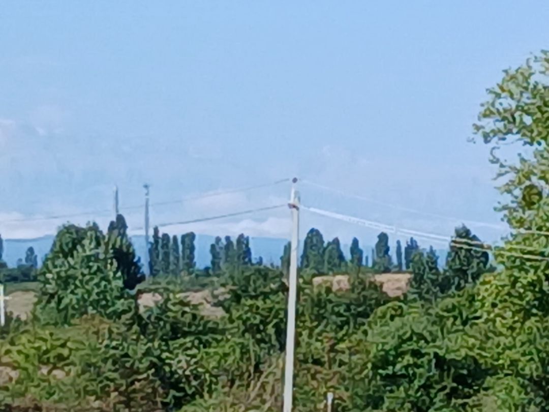 14 sot torpaq sahəsi, Qusar r — Torpaq, Qusar (6)