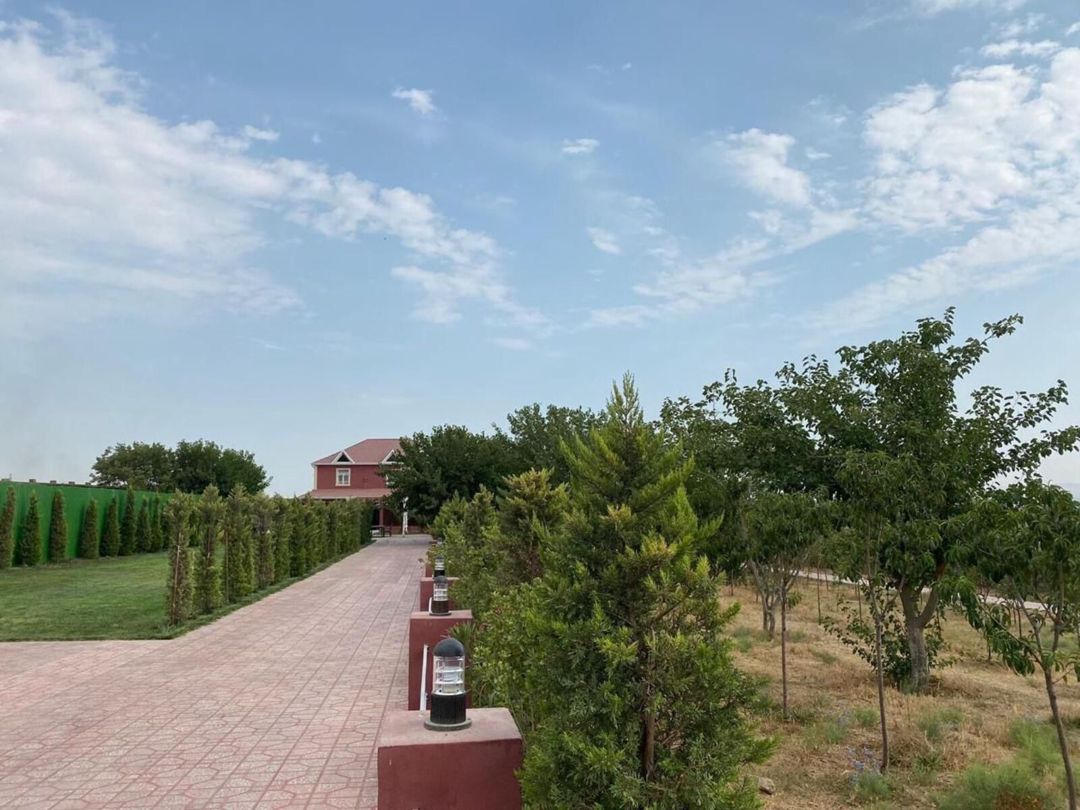 Satılır torpaq 57 sot — Torpaq, Bakı (10)