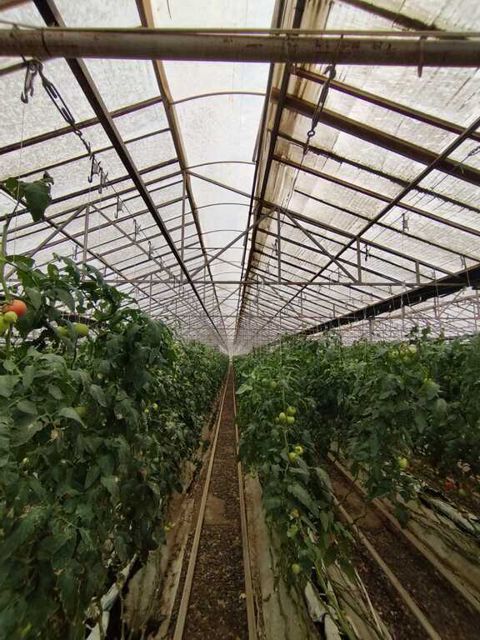 Satılır obyekt 220000 m² — Bakı