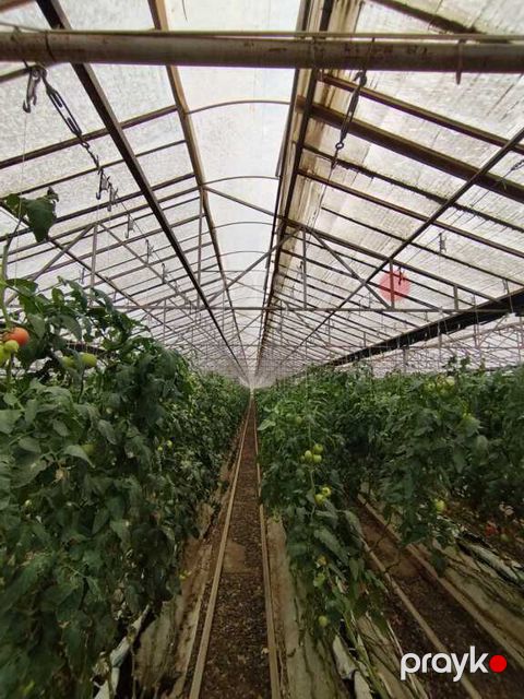 Satılır obyekt 220000 m²