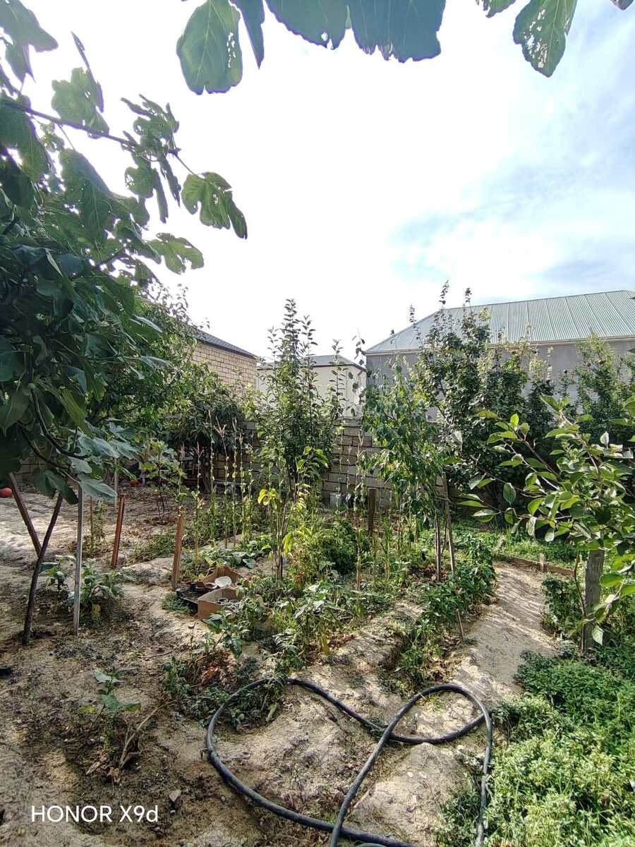 Satılır 3 otaqlı həyət evi/bağ evi 80 m² — Ev, villa, Bakı