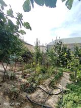 Satılır 3 otaqlı həyət evi/bağ evi 80 m² — Tərlan bəy