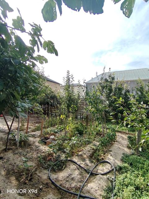 Satılır 3 otaqlı həyət evi/bağ evi 80 m² — Bakı