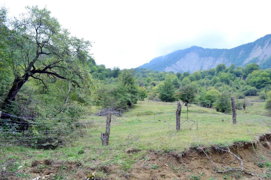 Satılır torpaq 80 sot — Torpaq, Quba (9)