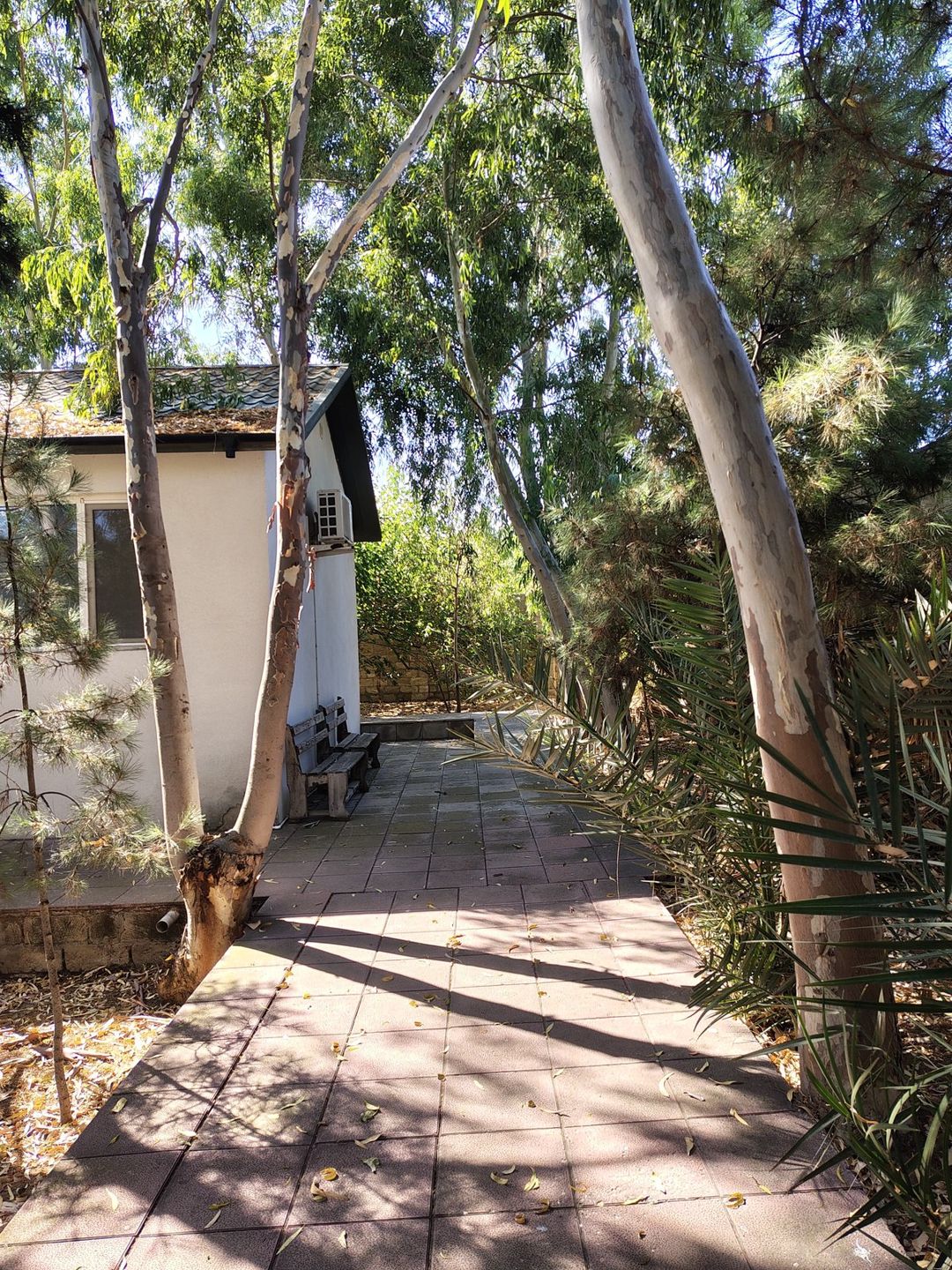 Satılır 7 otaqlı həyət evi/bağ evi 170 m² — Ev, villa, Bakı (4)
