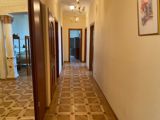 İcarəyə verilir 7 otaqlı yeni tikili 500 m² — Rövşən