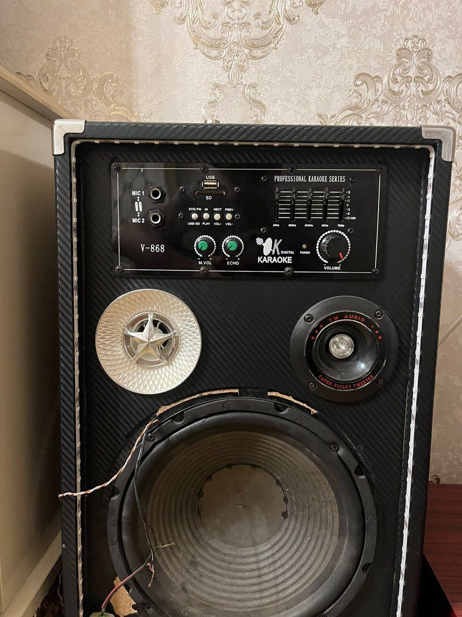 Dinamiklər — Elektronika, Xudat (2)