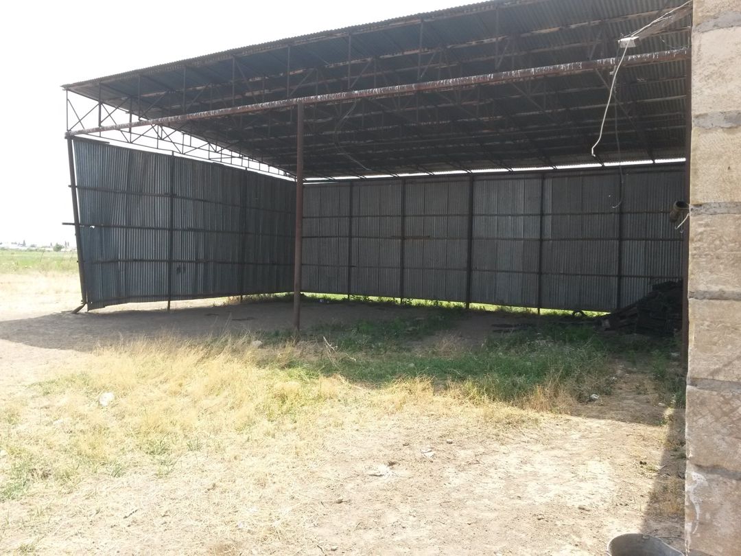 Satılır torpaq 646 sot — Torpaq, Şəmkir (7)