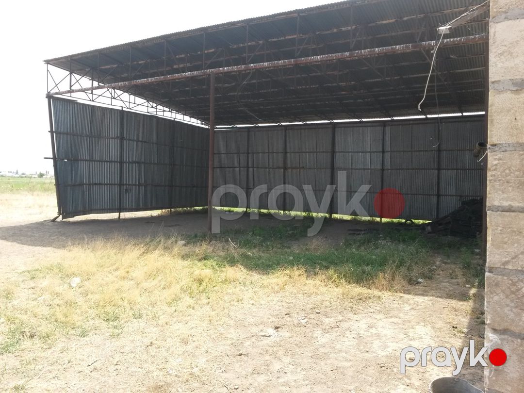 Satılır torpaq 646 sot — Torpaq, Şəmkir (7)