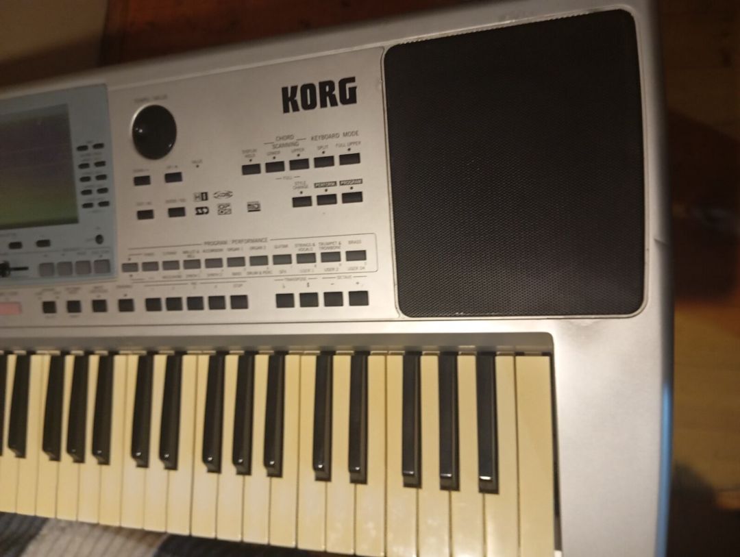 Korg Pa 50 Sempler — Musiqiə alətləri, Ucar (3)