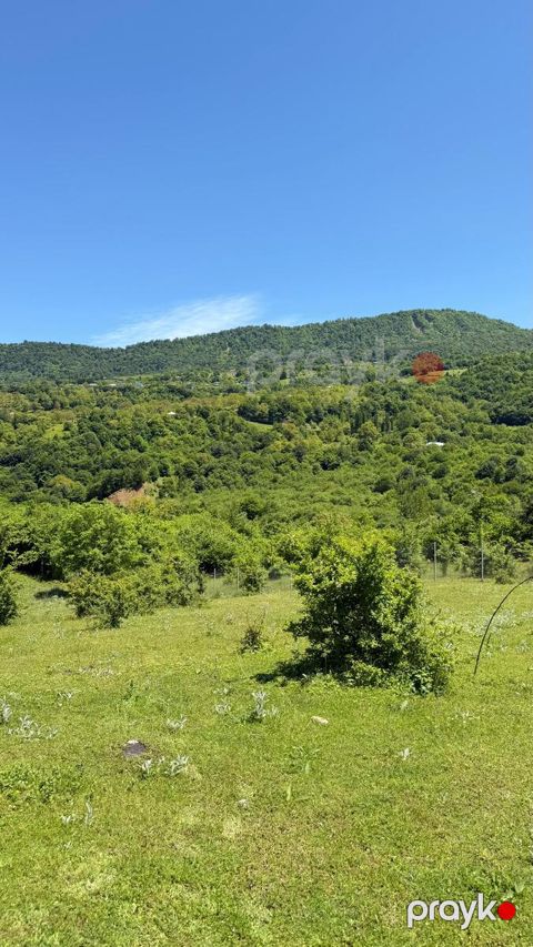 Satılır torpaq 6 sot
