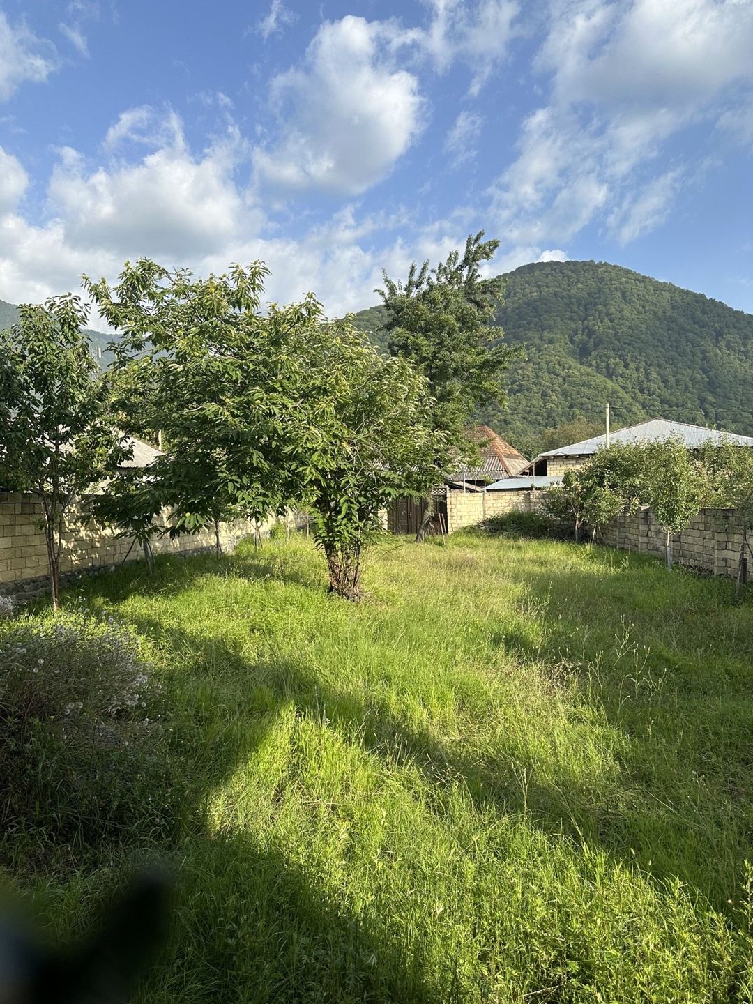 Satılır 5 otaqlı həyət evi/bağ evi 320 m² — Ev, villa, Qax (7)