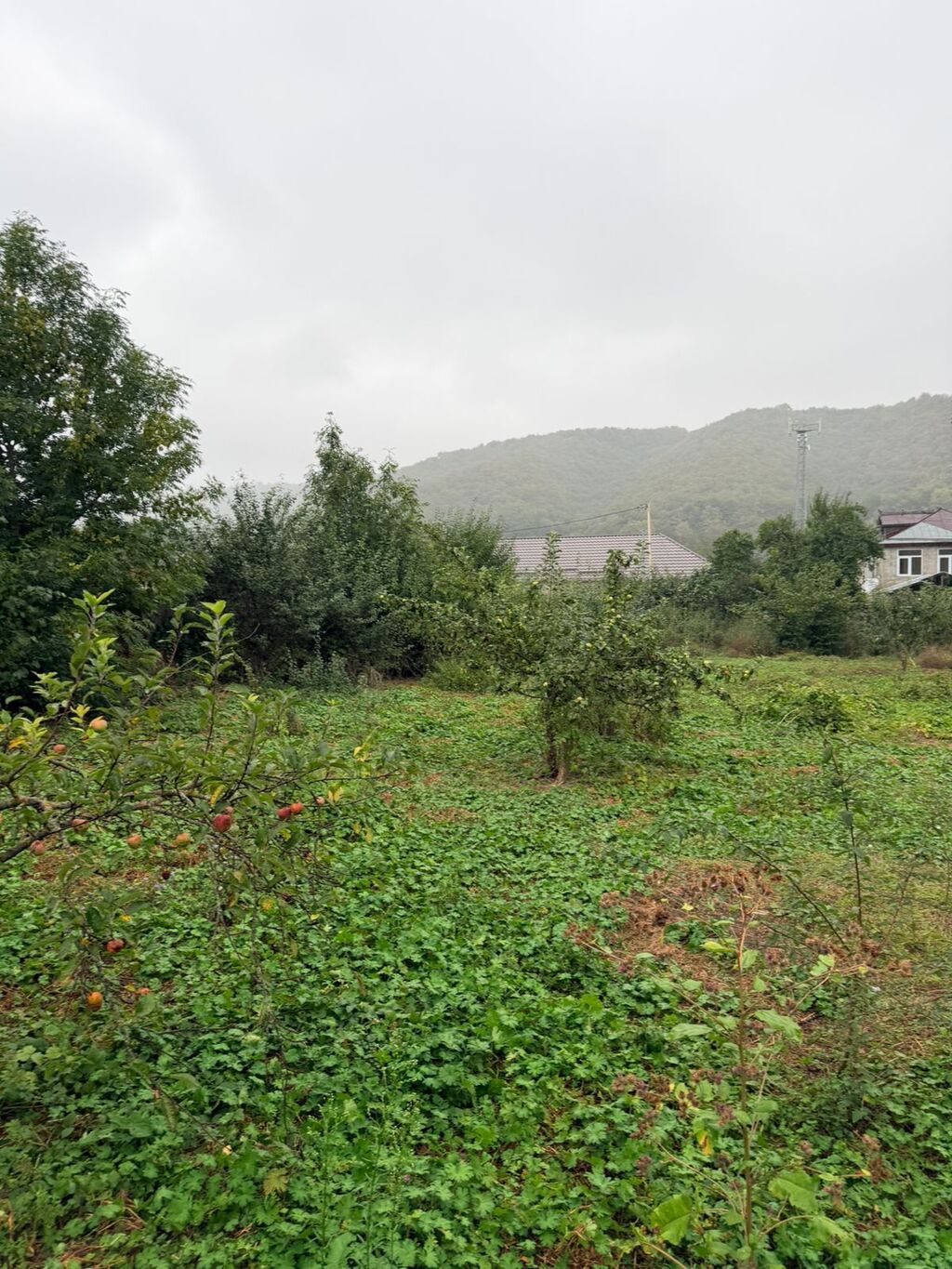 Biznes üçün — Torpaq, Xırdalan (8)
