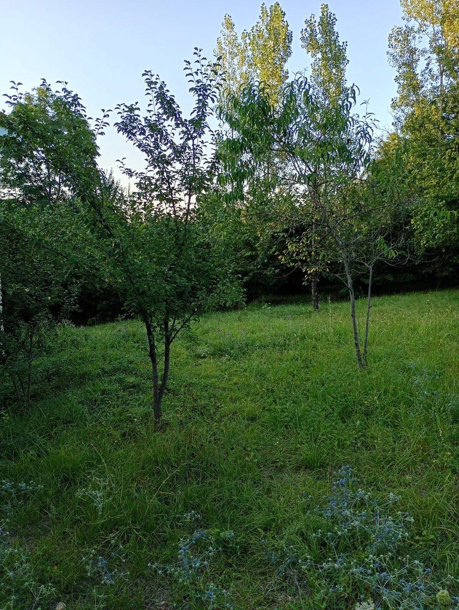 Satılır 4 otaqlı həyət evi/bağ evi 150 m² — Ev, villa, Qusar (6)