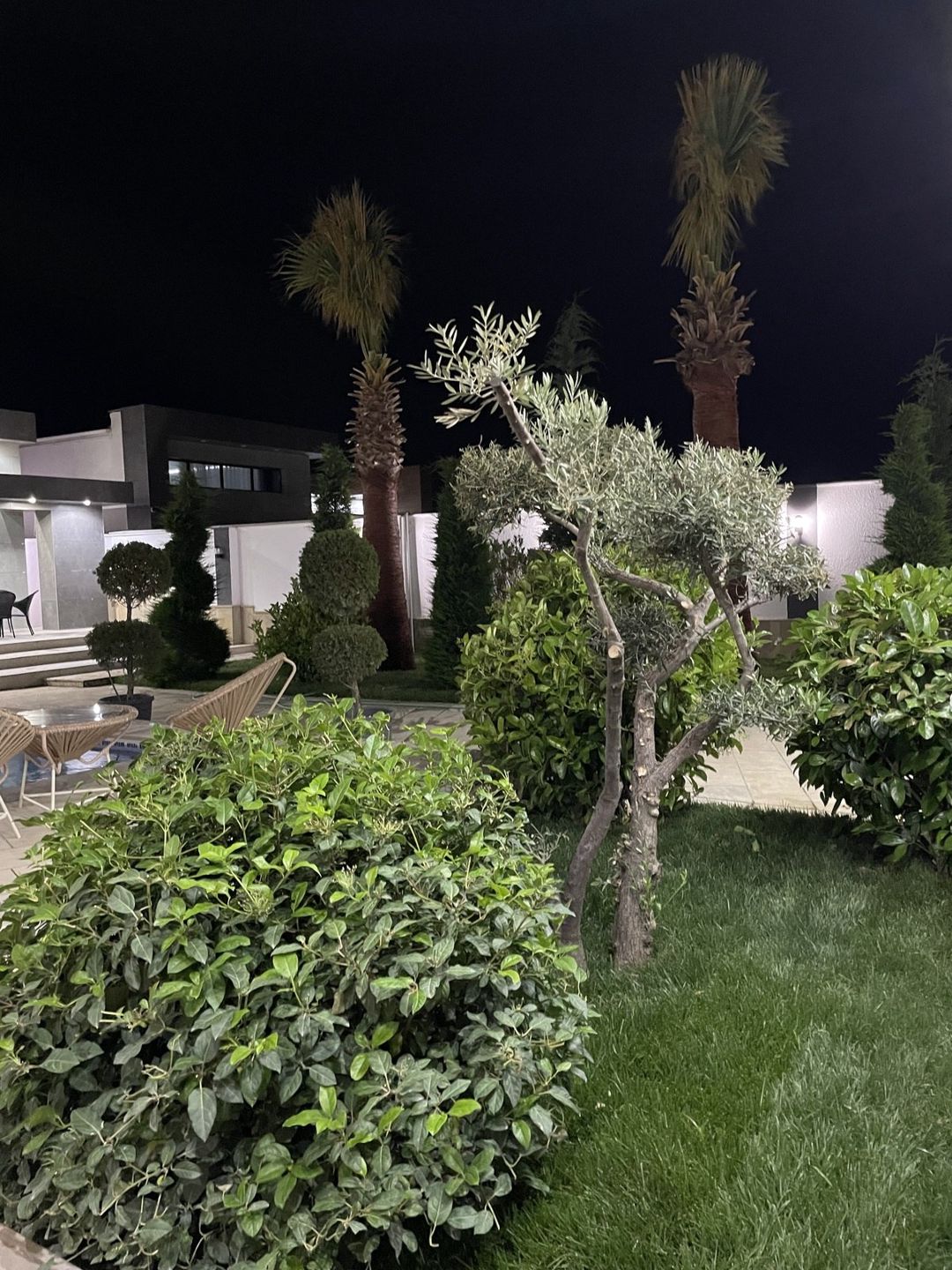 İcarəyə verilir 4 otaqlı həyət evi/bağ evi 350 m² — Ev, villa, Bakı (9)