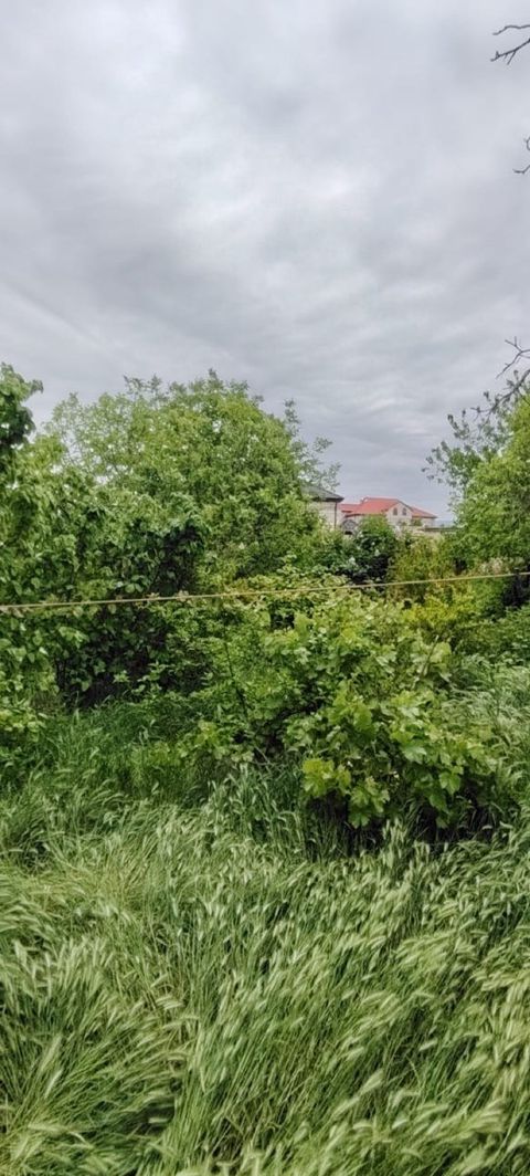 Həyət evi, Şabran r — Şabran