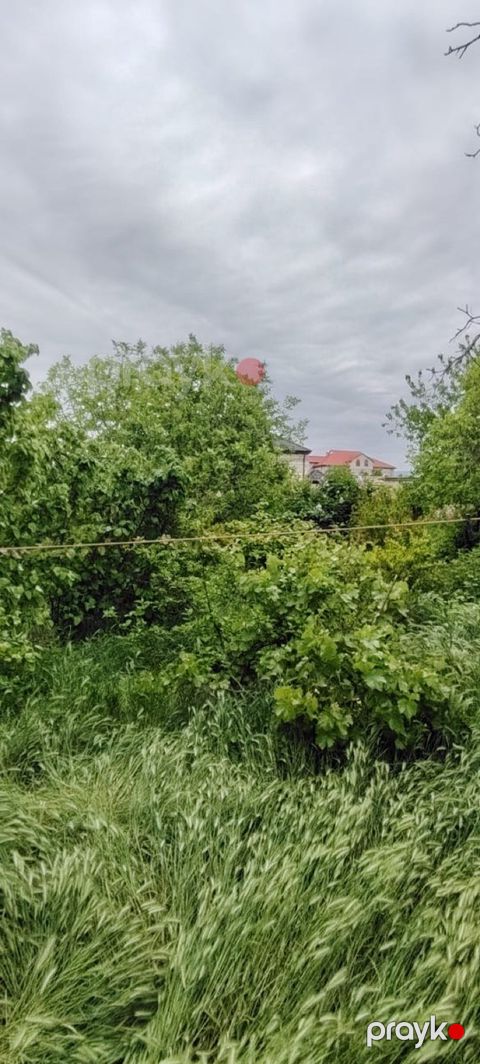Həyət evi, Şabran r