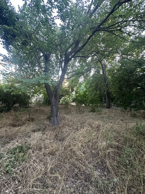 Satılır torpaq 200 sot — Bakı